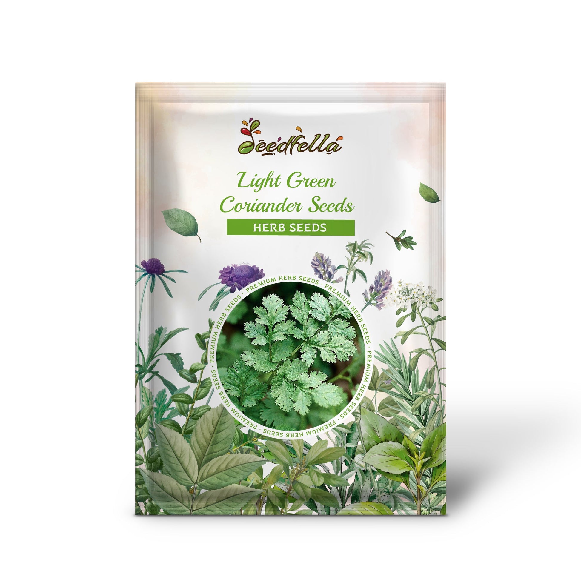 Coriander Seeds – Non-GMO Light Green Herb for Home Gardens