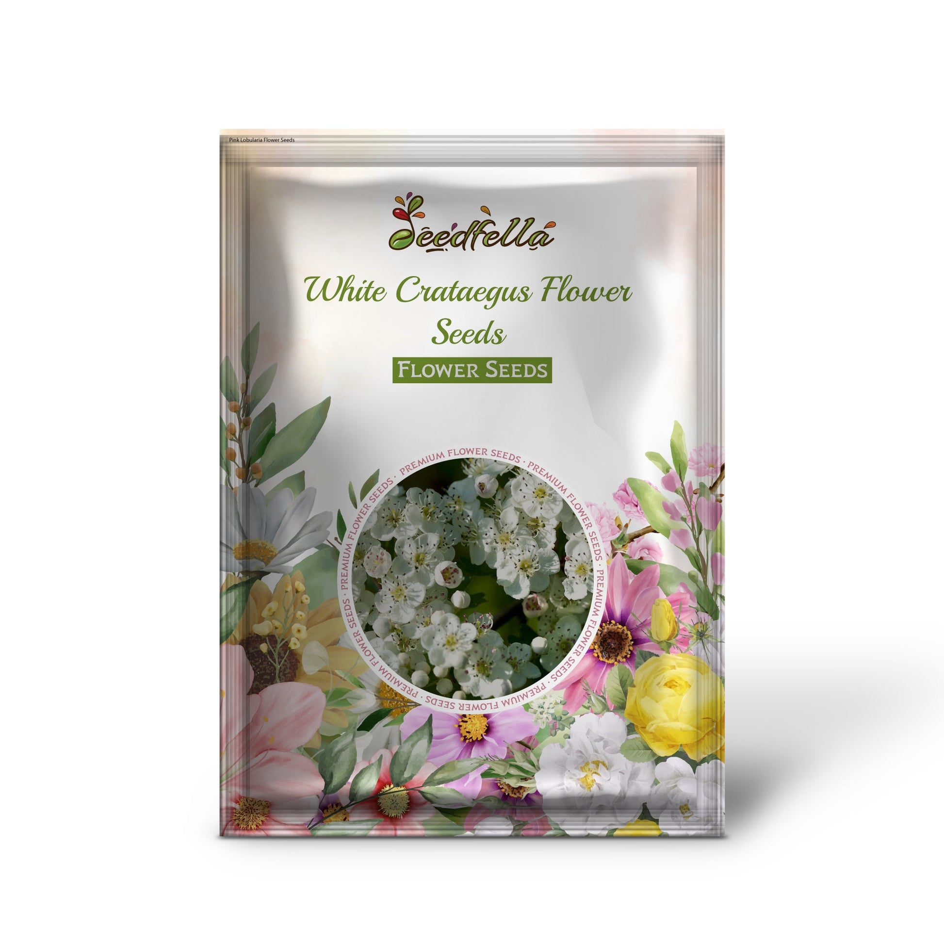 Crataegus White Seeds For Planting
