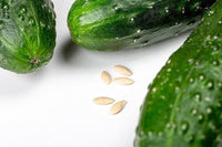 Crisp cucumber plant seeds for fresh harvest