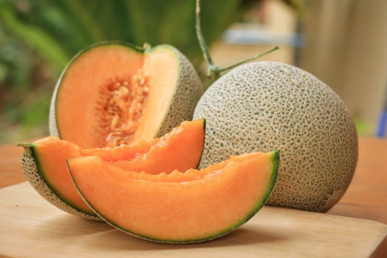Cucumis melo Red Cantaloupe Melon for Home Garden Growing and Summer Harvest