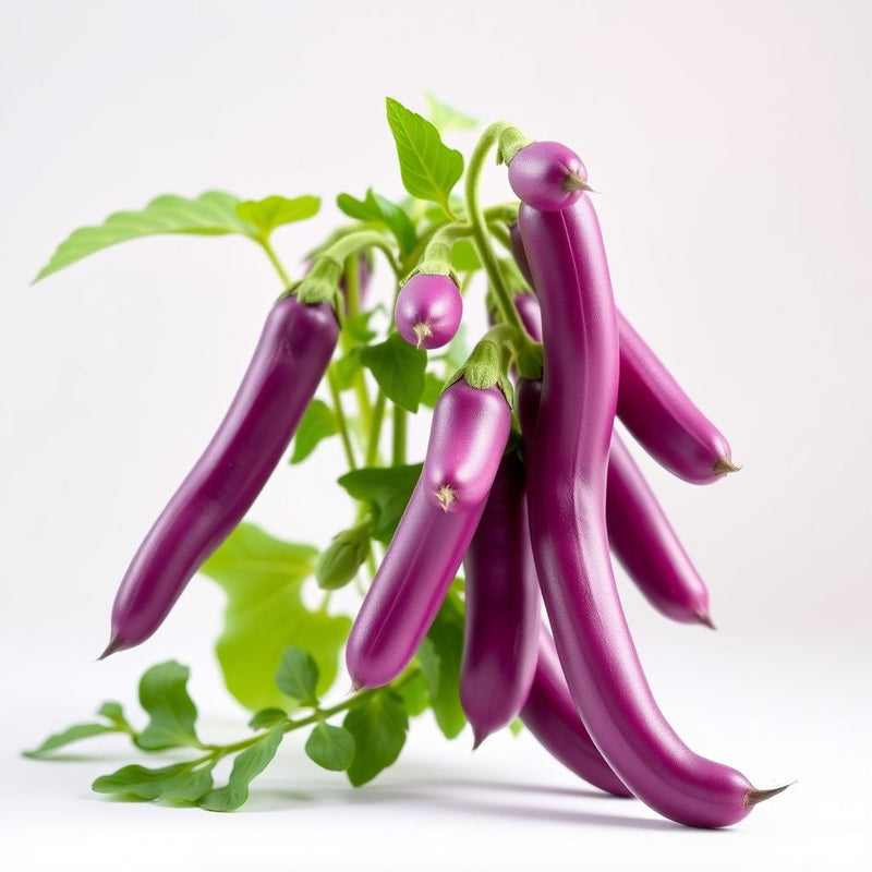 Violet Pole Bean Seeds for Planting - Vegetable Garden Essentials