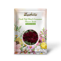 Dark pink black geranium seeds germinating seedlings