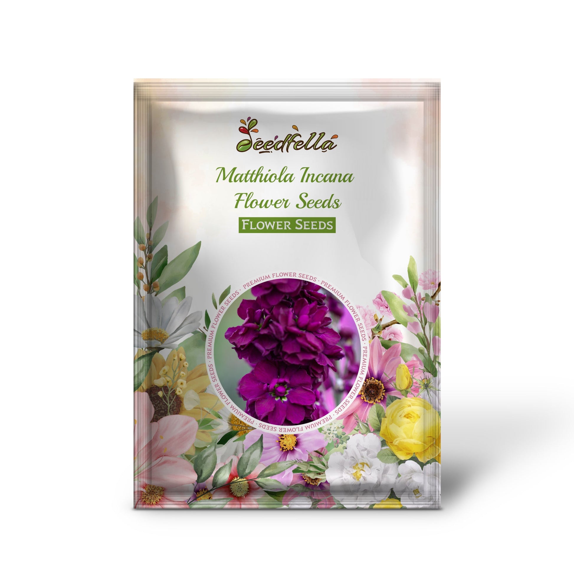 Deep Purple Matthiola Incana Seeds For Planting
