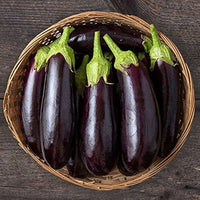 Diamond eggplant seeds for planting non GMO high yield variety