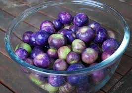 Purple Tomatillo Seeds for Planting