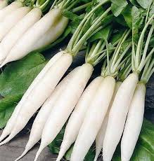 White Radish Seeds for Vegetable Planting
