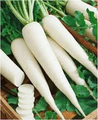 White Radish Seeds for Vegetable Planting