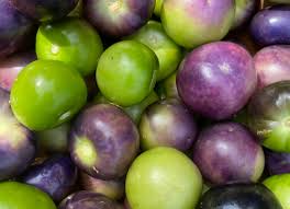 Purple Tomatillo Seeds for Planting
