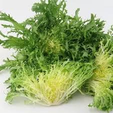 Frisée Endive Seeds: Planting Guide for Successful Growth