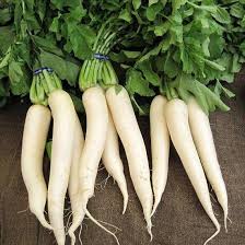 White Radish Seeds for Vegetable Planting