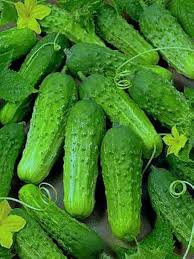 Octopus Cucumber Vegetable Seeds for Planting