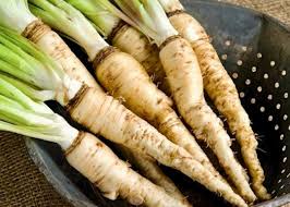 Brown Mammoth Vegetable Seeds for Planting