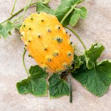 Cucumis Metuliferus (Horned Melon) Vegetable Seeds for Planting