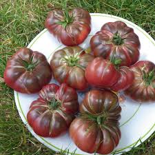 Marron Tomato Seeds for Planting - Premium Vegetable Seeds
