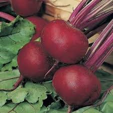 Red Beetroot Seeds for Planting - Grow Delicious Vegetables