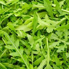 Green Rocket Pegasus Vegetable Seeds for Planting