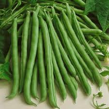White Bean Planting Seeds for Your Garden