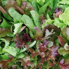 Mixed Mesclun Vegetable Seeds for Your Garden