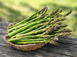 Wild Asparagus Planting Seeds for Lush Growth and Culinary Delights - Seed for Garden Enthusiasts