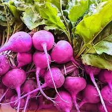 Purple Radish Seeds for Easy Planting
