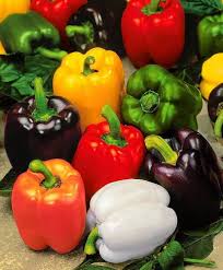 Bell Vegetable Seeds - Perfect for Home Gardening