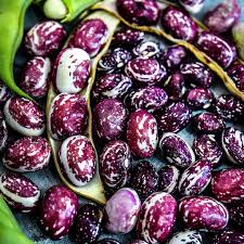 Purple White Stallard Vegetable Seeds for Planting