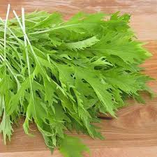 Mizuna "Baby Leaf" Seeds for Planting