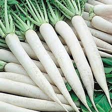 Radish Vegetable Seeds for Easy Planting