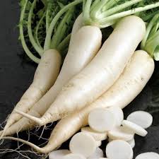 Radish Vegetable Seeds for Planting