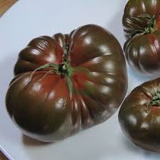 Brown Giant Tomato Seeds for Planting