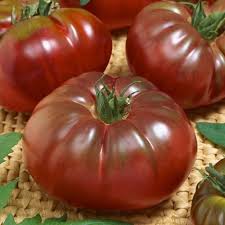 Marron Tomato Seeds for Planting - Premium Vegetable Seeds
