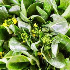 Green Yu Choy Sum Seeds for Planting - Premium Vegetable Seeds