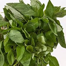 Green Callaloo Vegetable Planting Seeds
