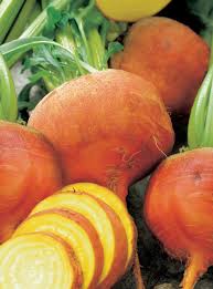 Orange Beet Seeds for Vegetable Planting