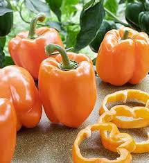 Orange Bell Pepper Vegetable Seeds for Planting - Year-Round Growth