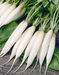 Radish Seeds for Planting  Grow Your Own Vegetables