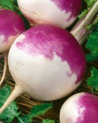 Purple Rutabaga Seeds for Vegetable Planting