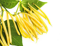 Yellow Bean Vegetable Seeds for Planting