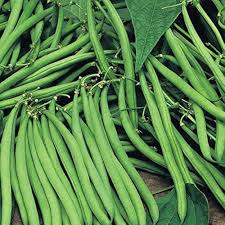 Green Snap Bean Seeds for Planting