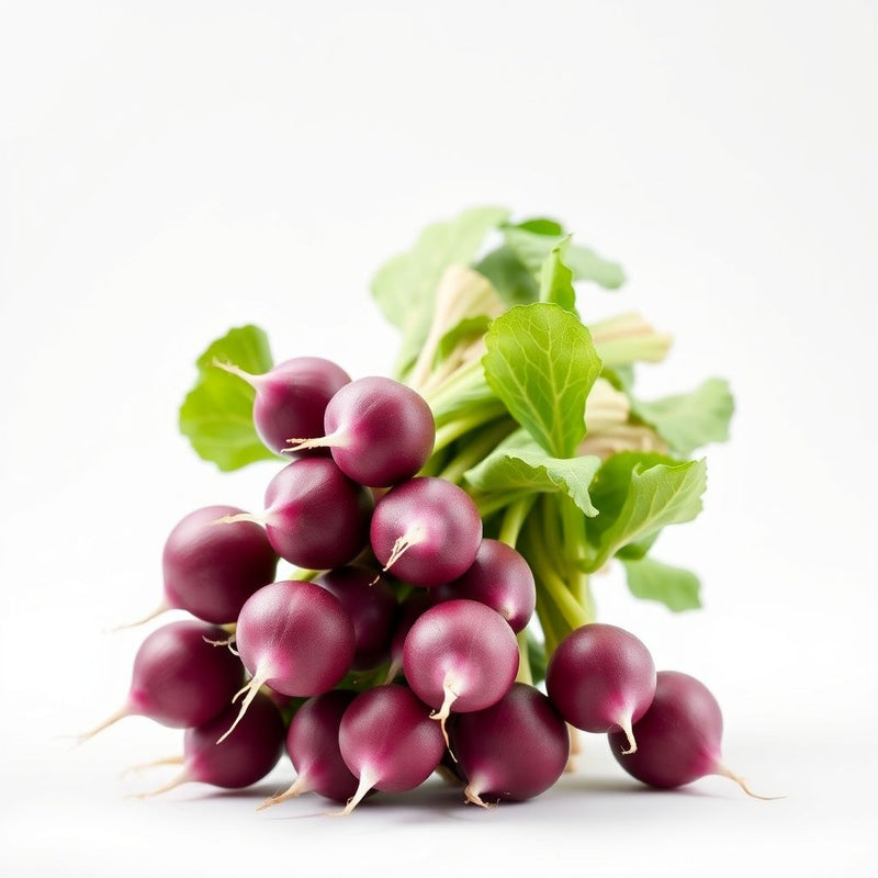 Purple Radish Seeds for Easy Planting