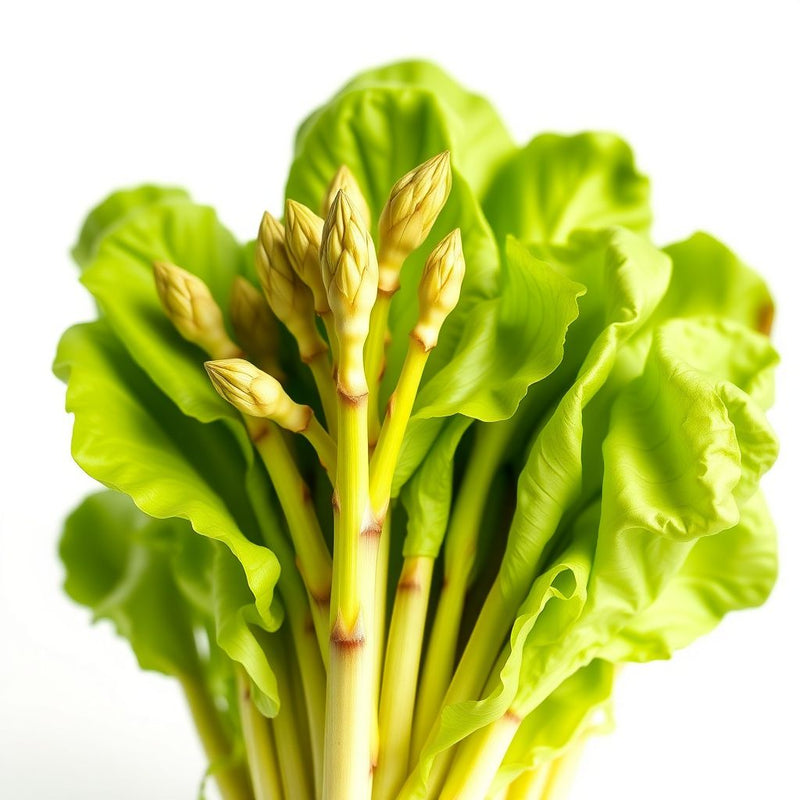 Asparagus Lettuce Seeds for Crisp Salad Planting