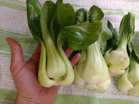 Dwarf Pak Choi Vegetable Seeds - Perfect for Planting