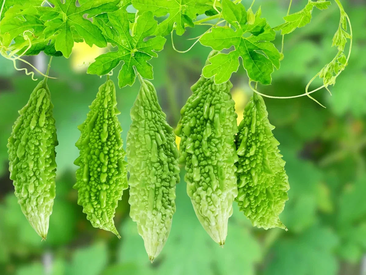 Easy planting Pinkdose vegetable seeds for gardens