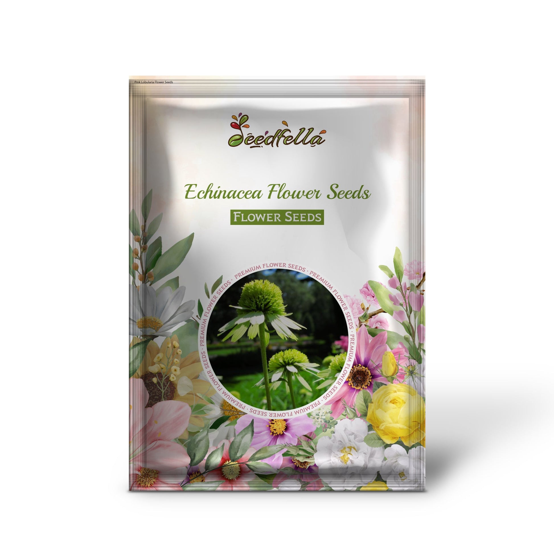 Echinacea Seeds For Planting