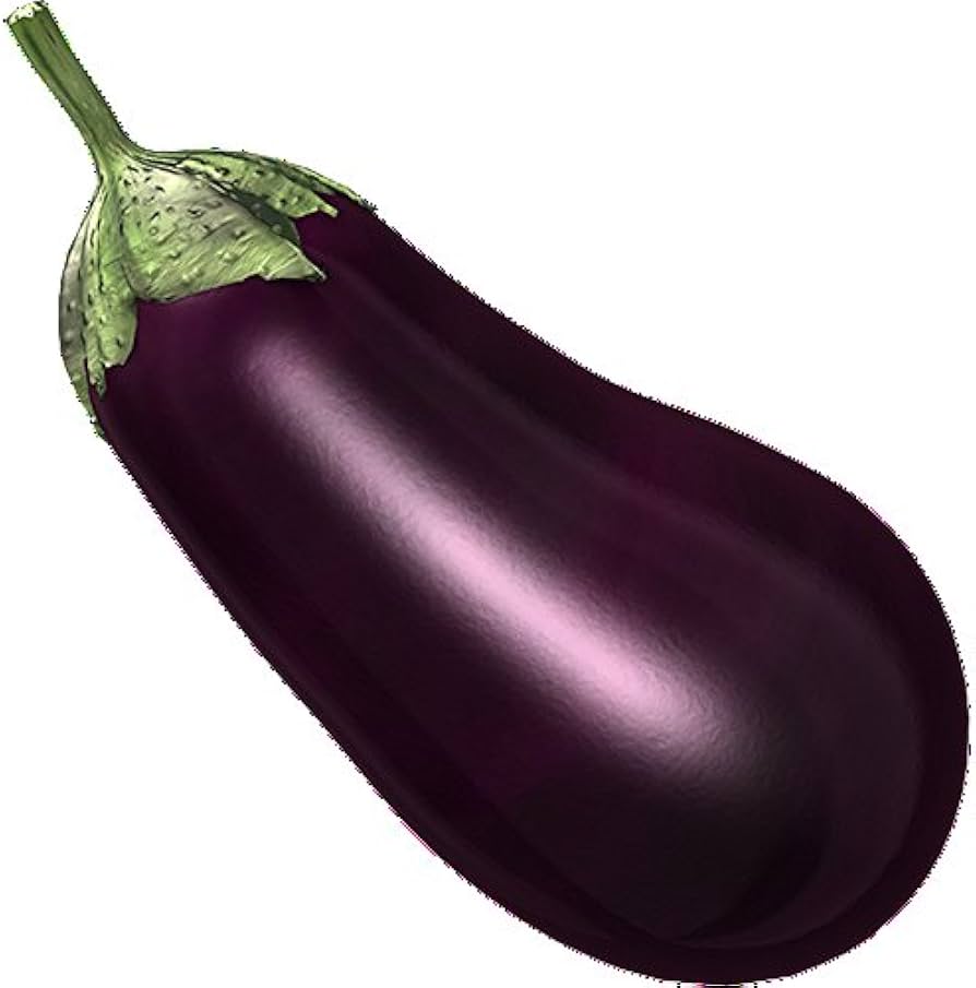 Healthy eggplant plant growing in a home garden