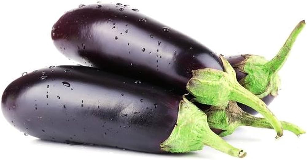 Eggplant seeds for planting Solanum melongena variety