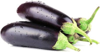 Eggplant seeds for planting Solanum melongena variety