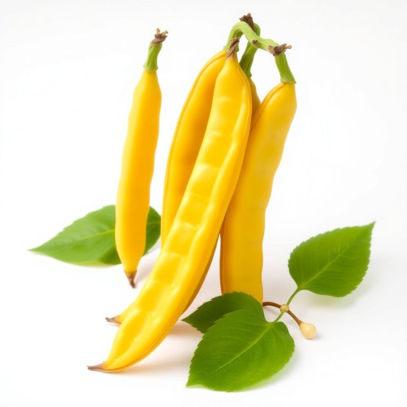 Heirloom Yellow Wax Bean Seeds for Planting Grow Delicious Beans