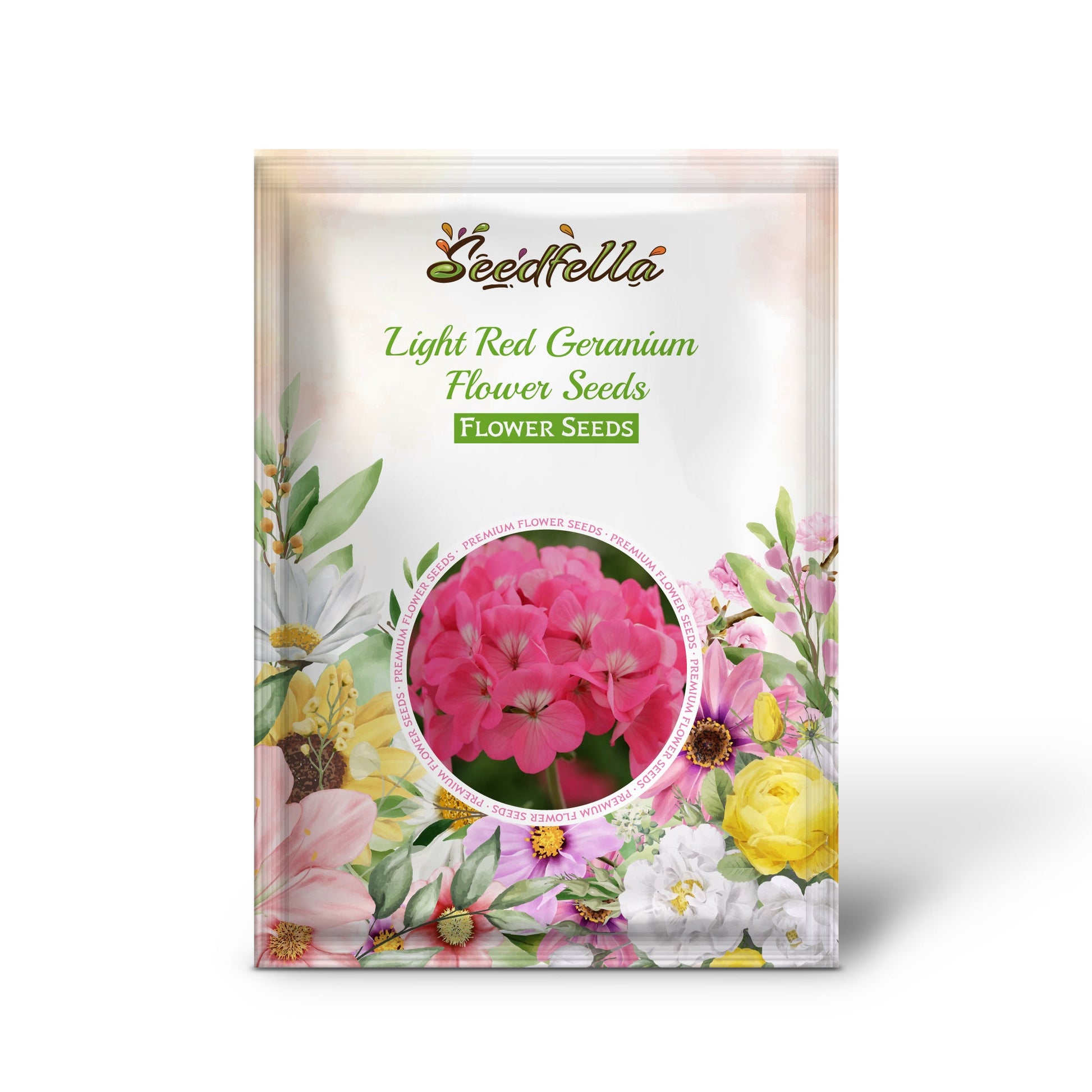 Light red geranium seeds germination seedlings