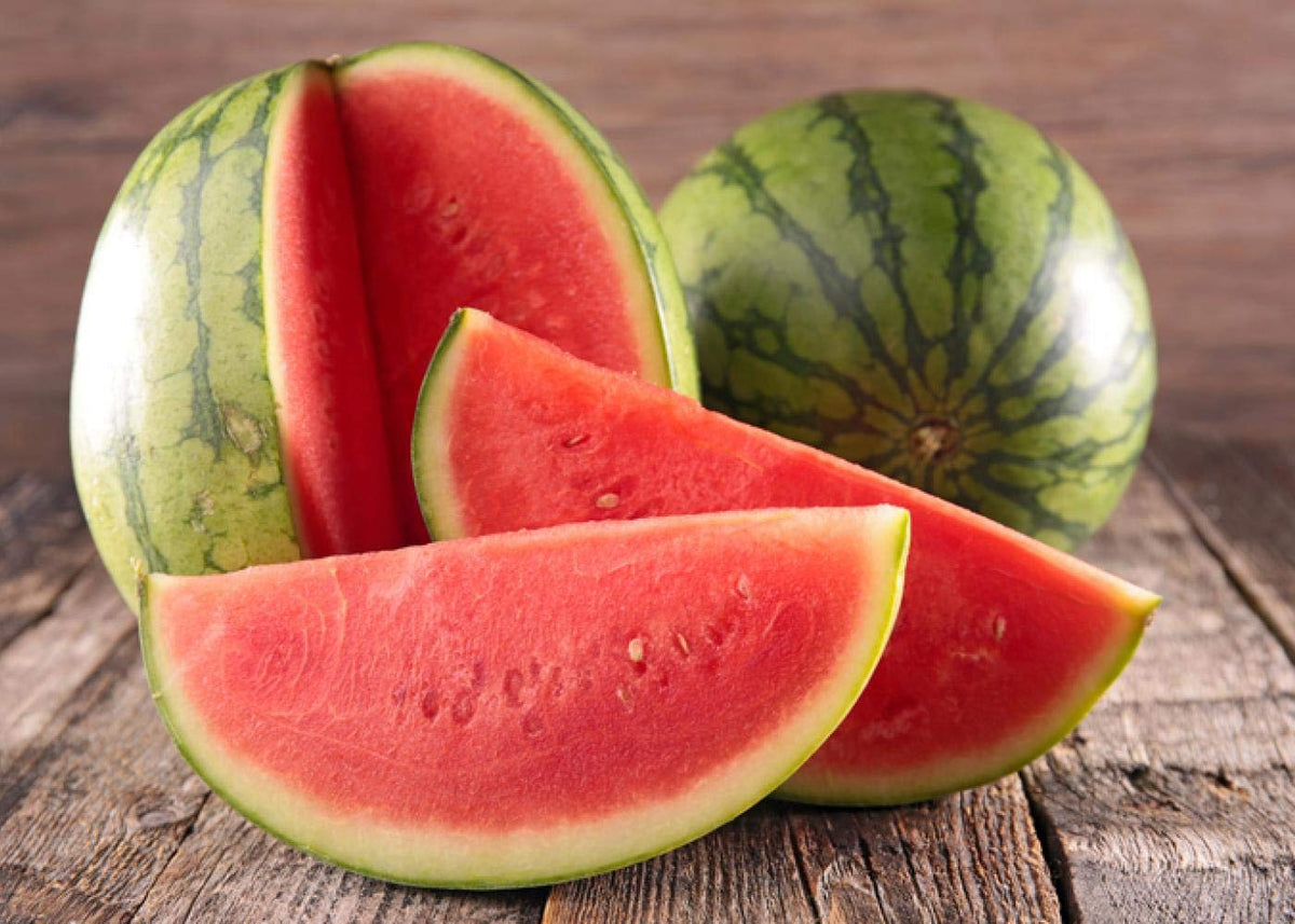Giant watermelon plants with healthy vines
